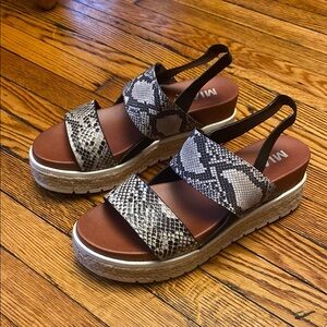 MIA Women's Snakeskin Platform Sandals